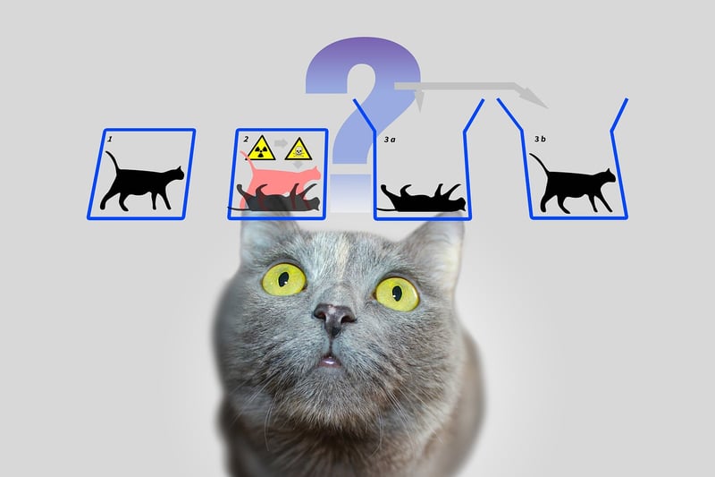 Quantum Locator